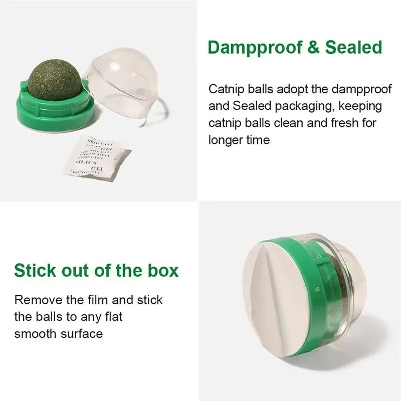 PurrPlay Catnip Ball