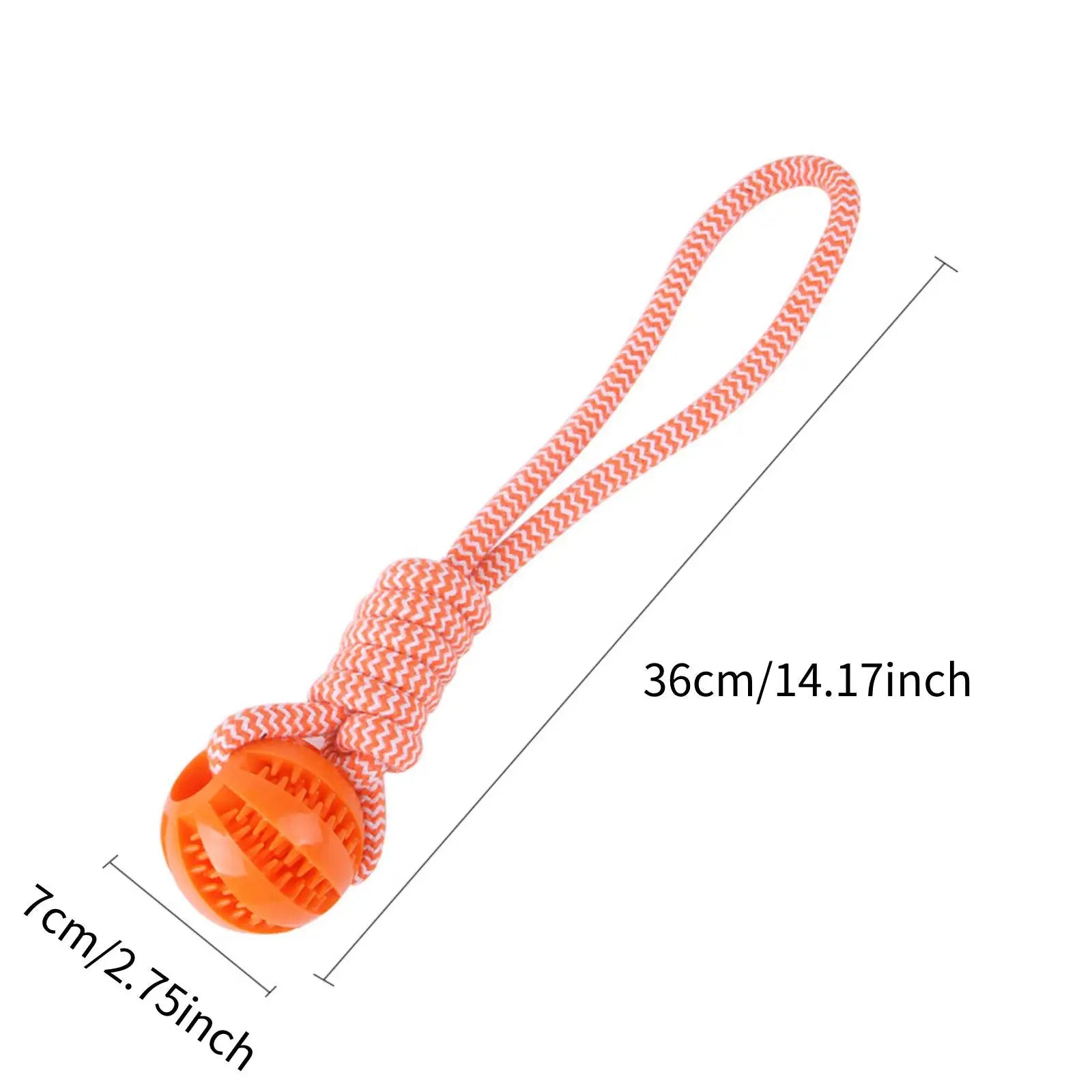 Playful Treat Puzzle Ball