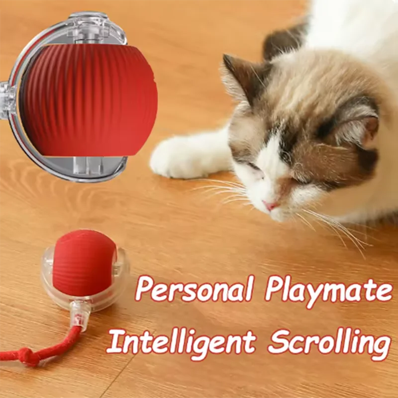 WhirlPlay Smart Interactive Pet Ball